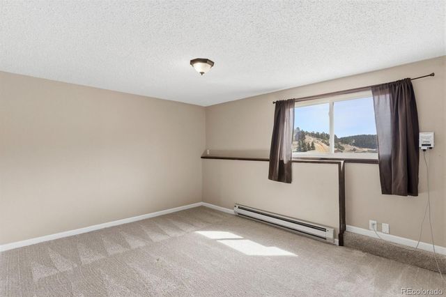 178 Cottonwood Lake Drive, Divide, CO 80814