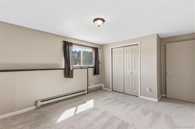 178 Cottonwood Lake Drive, Divide, CO 80814