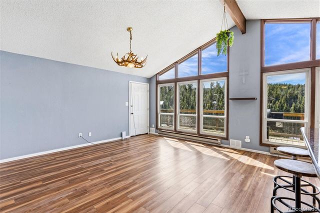178 Cottonwood Lake Drive, Divide, CO 80814