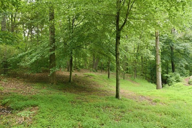 608 Beechtree Ct, Burns, TN 37029