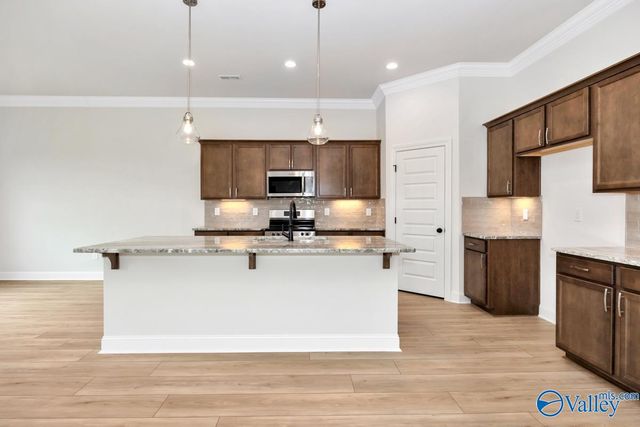 24361 Bekah Lane, Toney, AL 35773