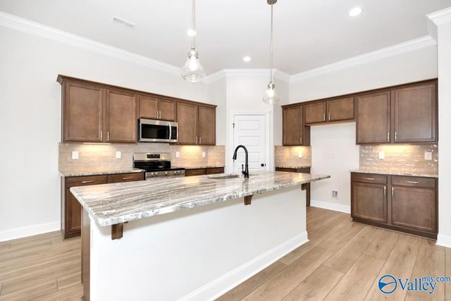 24361 Bekah Lane, Toney, AL 35773