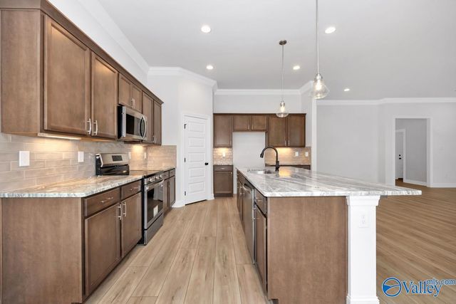 24361 Bekah Lane, Toney, AL 35773