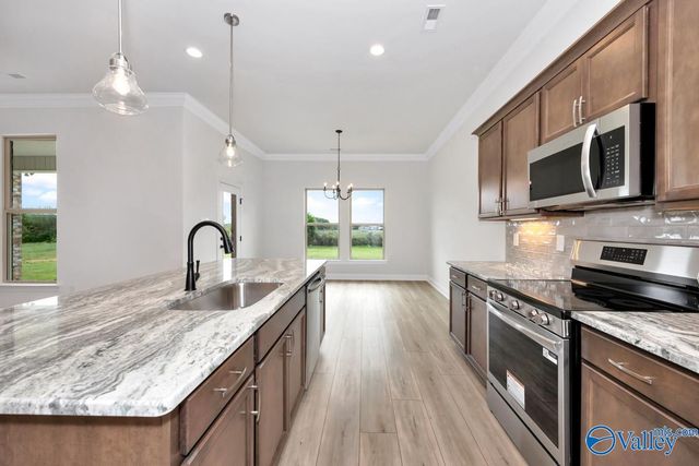 24361 Bekah Lane, Toney, AL 35773