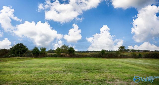 24361 Bekah Lane, Toney, AL 35773