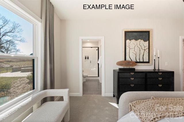 10931 Tyler Brook Lane OAK0046, Mint Hill, NC 28227