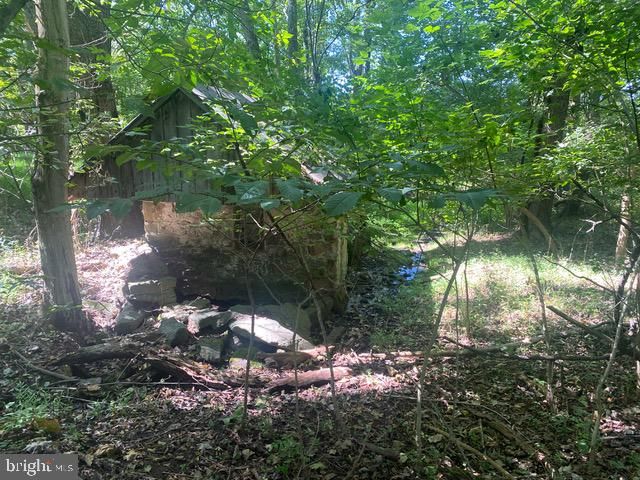 6753-D DICKERSON RD, Dickerson, MD 20842