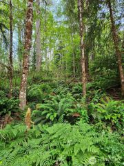 72 Lot W Arrowhead Drive, Elma, WA 98541