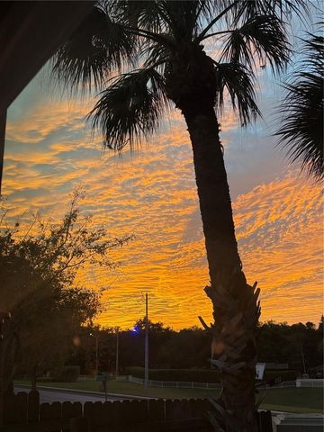 302 SUMMER SAILS DRIVE, Valrico, FL 33594