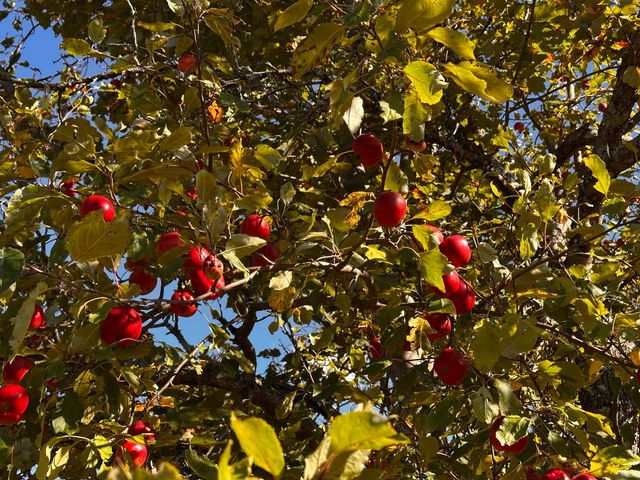 572 Blakely Road, Wheelock, VT 05851