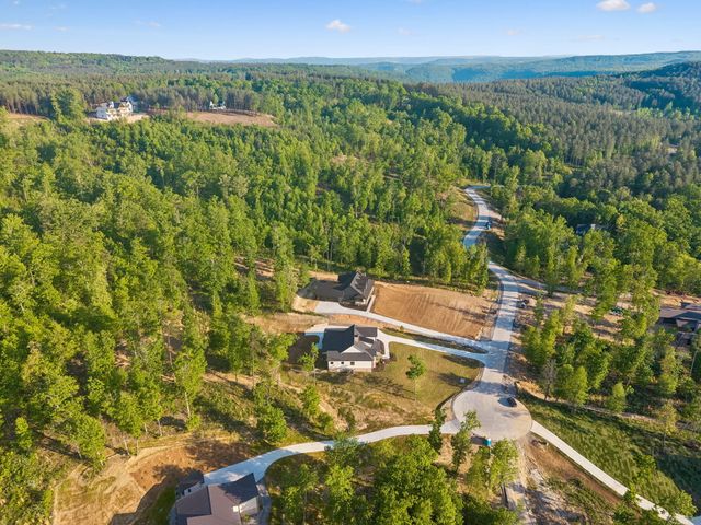 2470 Birds Eye Way, Guild, TN 37340