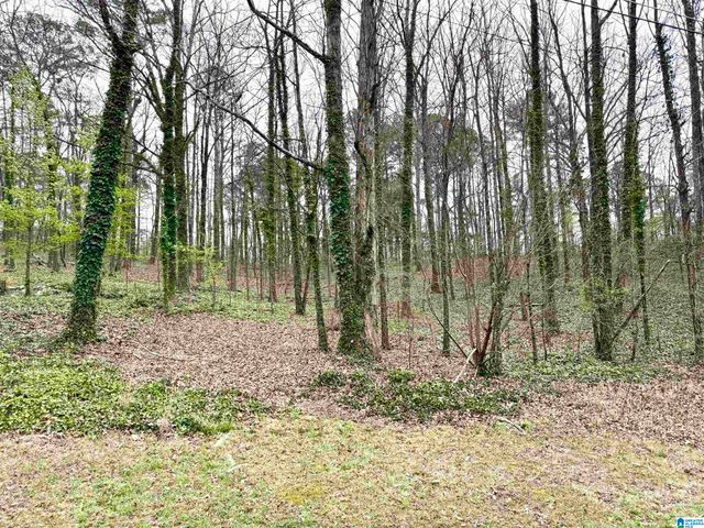 2615 3RD STREET NE, Birmingham, AL 35215