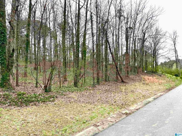 2615 3RD STREET NE, Birmingham, AL 35215