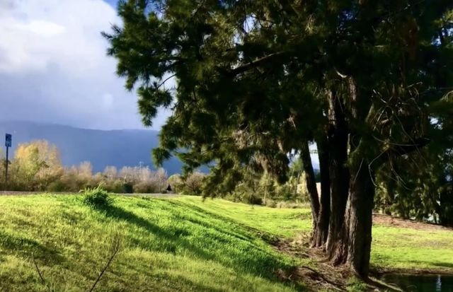 5657 Rotterdam Lane, San Jose, CA 95118