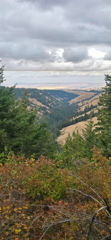 30 Acres on Biscuit Ridge Rdg, Other, WA 99361 photo 2