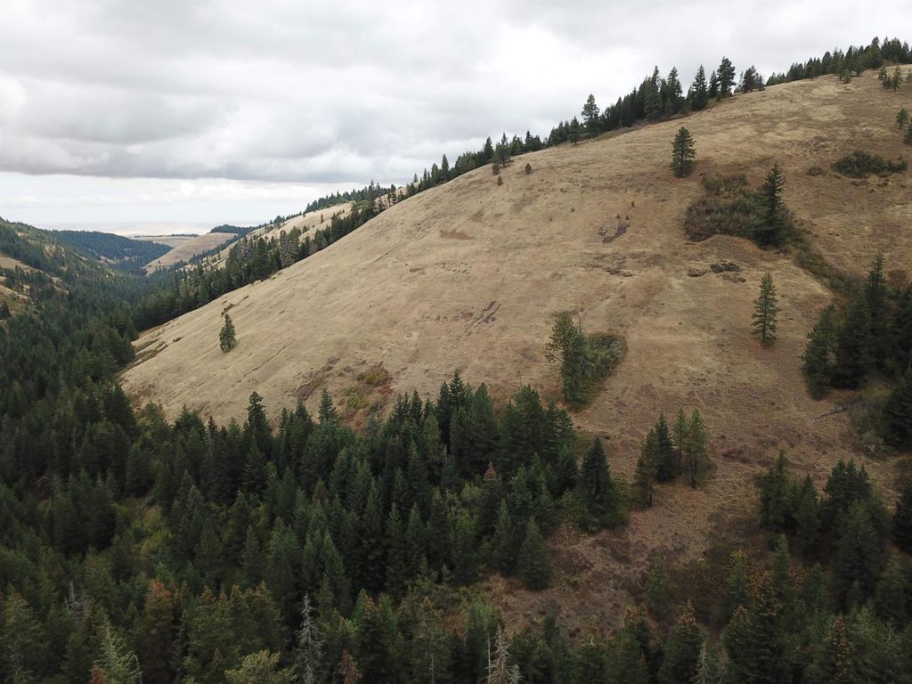 30 Acres on Biscuit Ridge Rdg, Other, WA 99361 photo 12