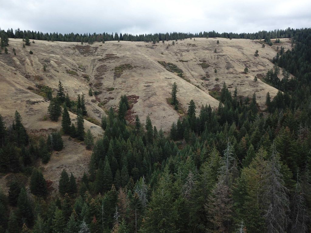 30 Acres on Biscuit Ridge Rdg, Other, WA 99361 photo 13