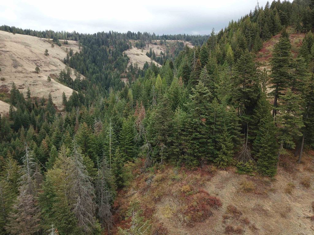 30 Acres on Biscuit Ridge Rdg, Other, WA 99361 photo 14