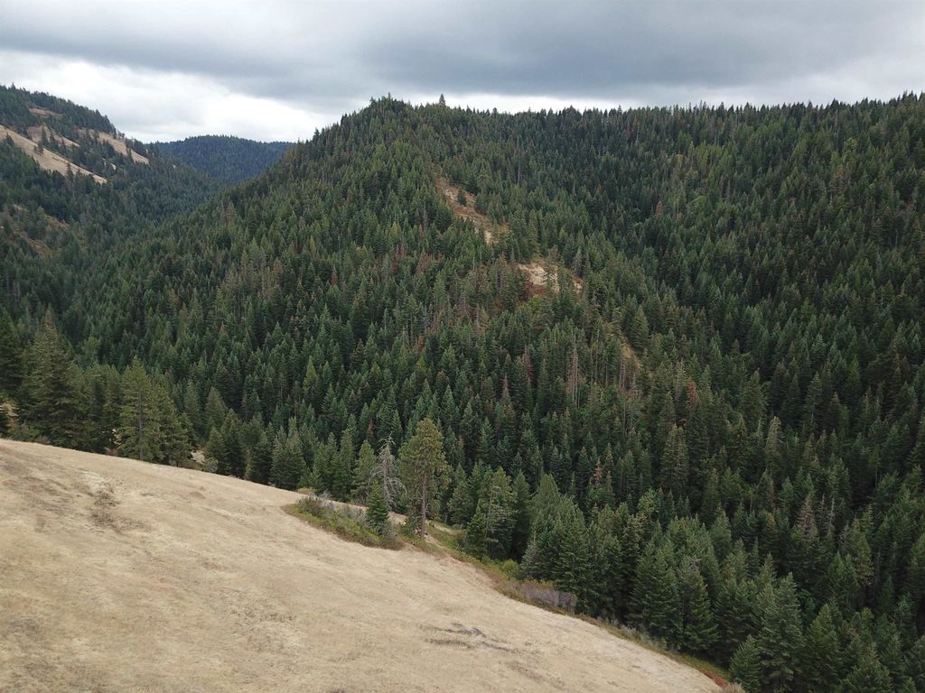 30 Acres on Biscuit Ridge Rdg, Other, WA 99361 photo 15