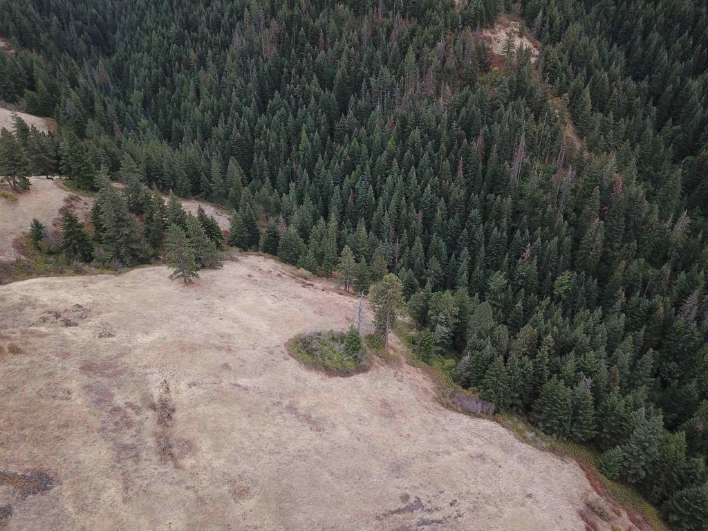 30 Acres on Biscuit Ridge Rdg, Other, WA 99361 photo 16