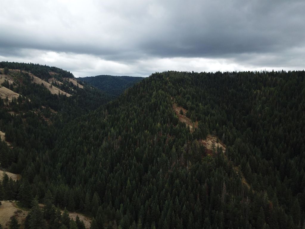 30 Acres on Biscuit Ridge Rdg, Other, WA 99361 photo 17