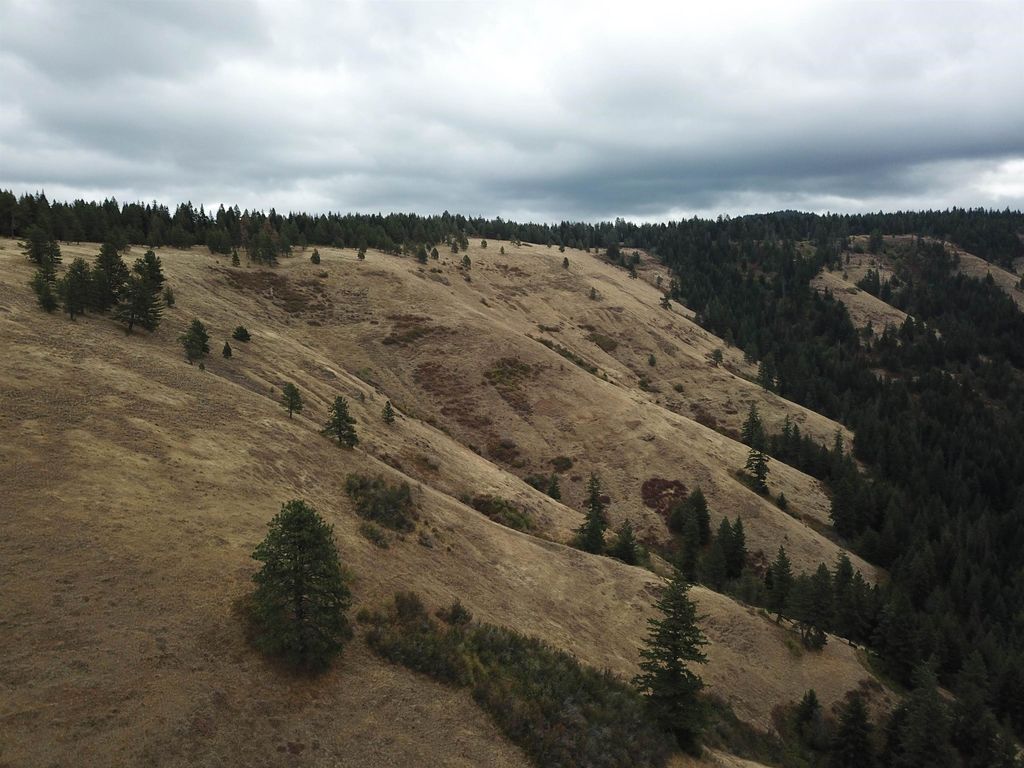 30 Acres on Biscuit Ridge Rdg, Other, WA 99361 photo 19