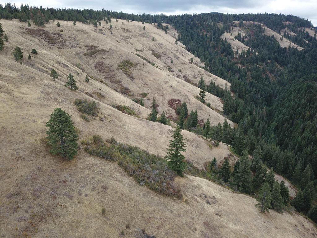 30 Acres on Biscuit Ridge Rdg, Other, WA 99361 photo 20