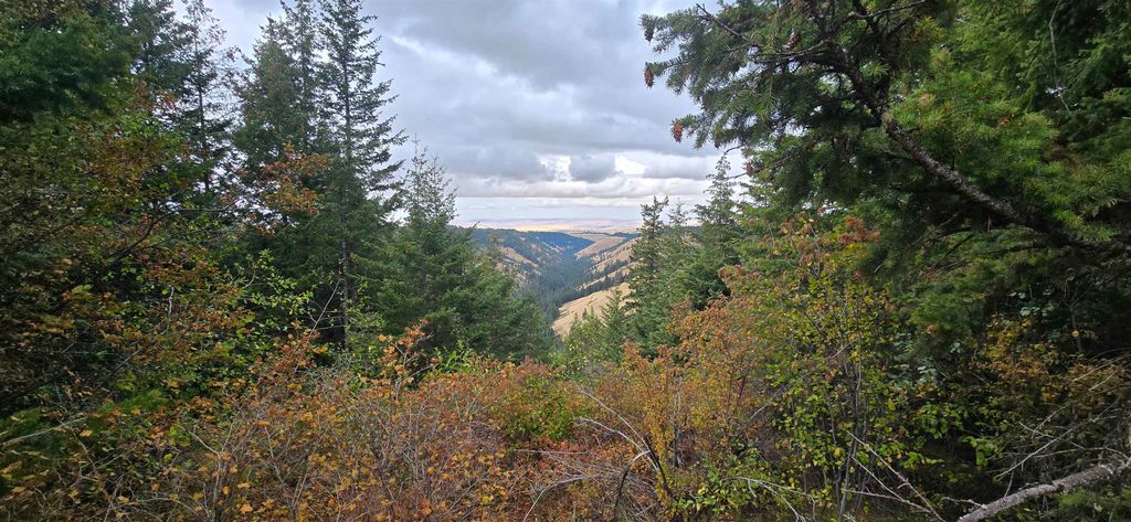 30 Acres on Biscuit Ridge Rdg, Other, WA 99361 photo 3
