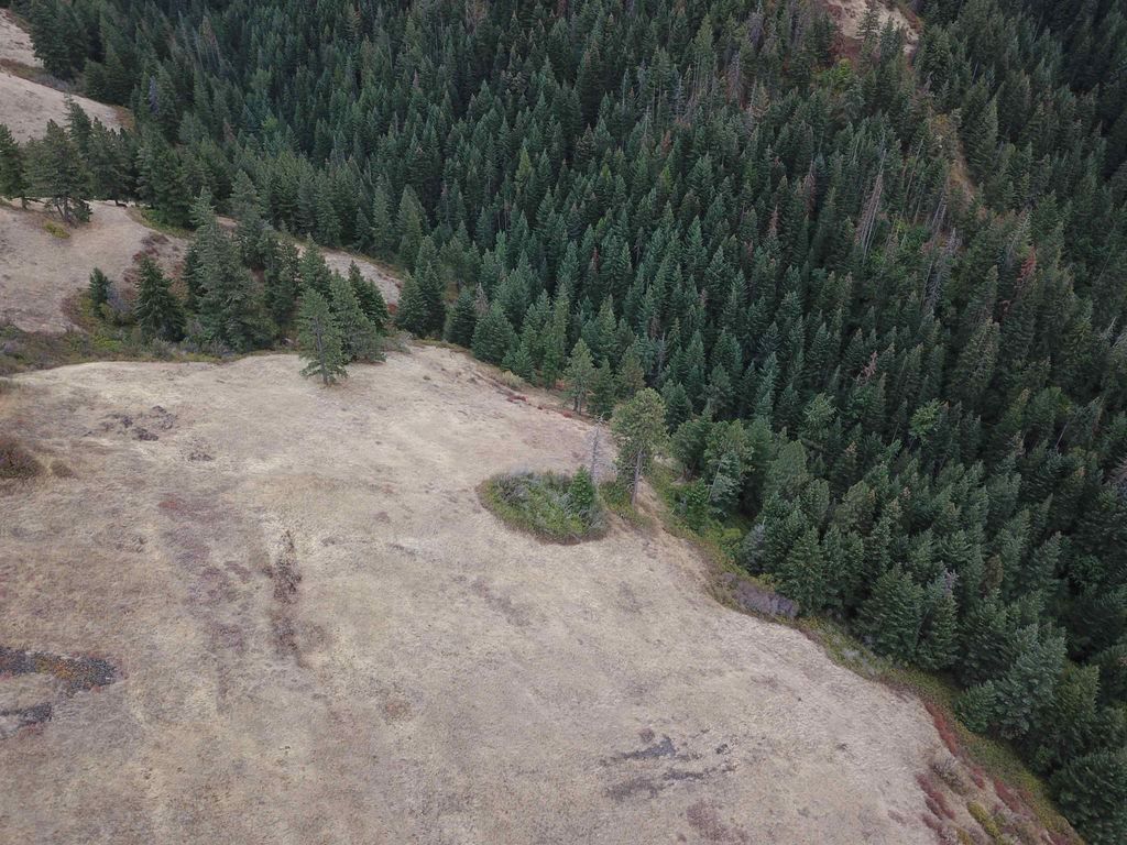 30 Acres on Biscuit Ridge Rdg, Other, WA 99361 photo 21