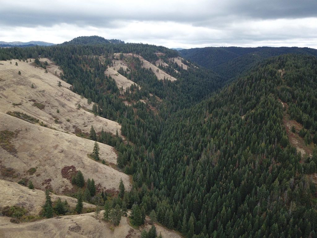 30 Acres on Biscuit Ridge Rdg, Other, WA 99361 photo 23