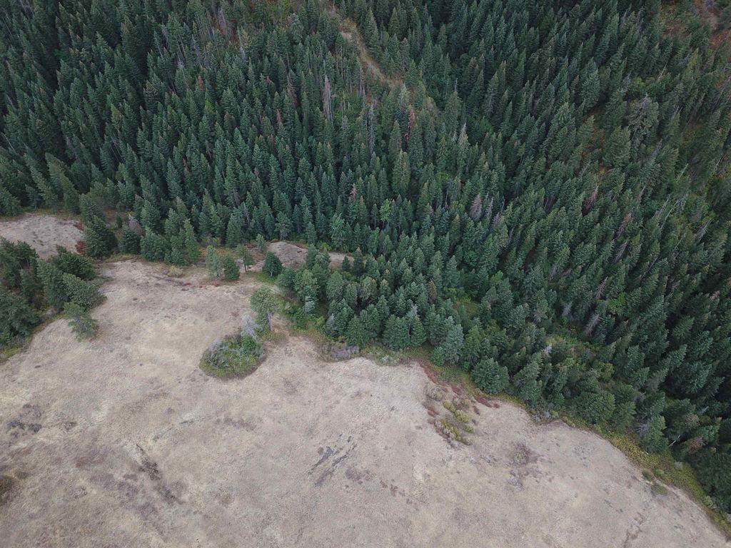 30 Acres on Biscuit Ridge Rdg, Other, WA 99361 photo 24