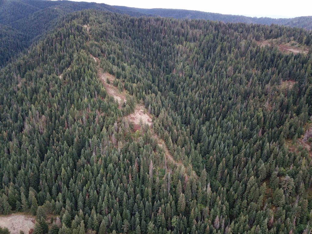 30 Acres on Biscuit Ridge Rdg, Other, WA 99361 photo 26