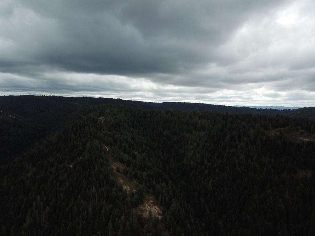 30 Acres on Biscuit Ridge Rdg, Other, WA 99361 photo 27