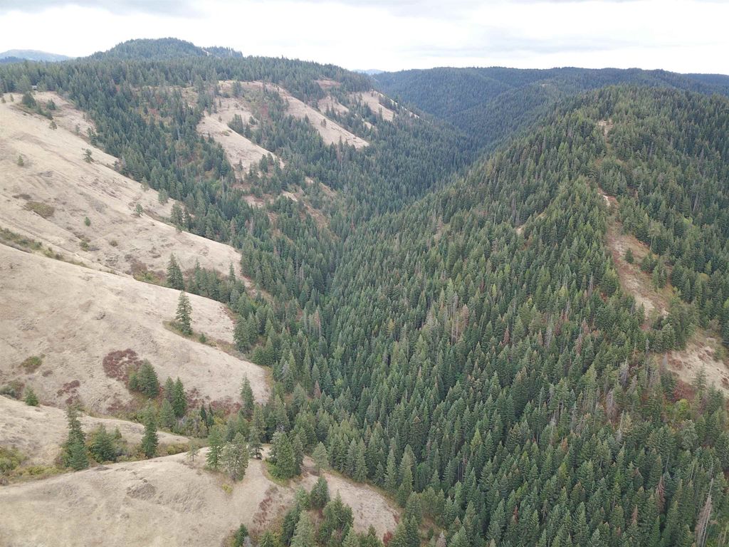 30 Acres on Biscuit Ridge Rdg, Other, WA 99361 photo 28