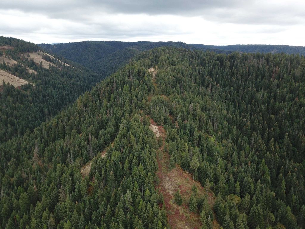30 Acres on Biscuit Ridge Rdg, Other, WA 99361 photo 29