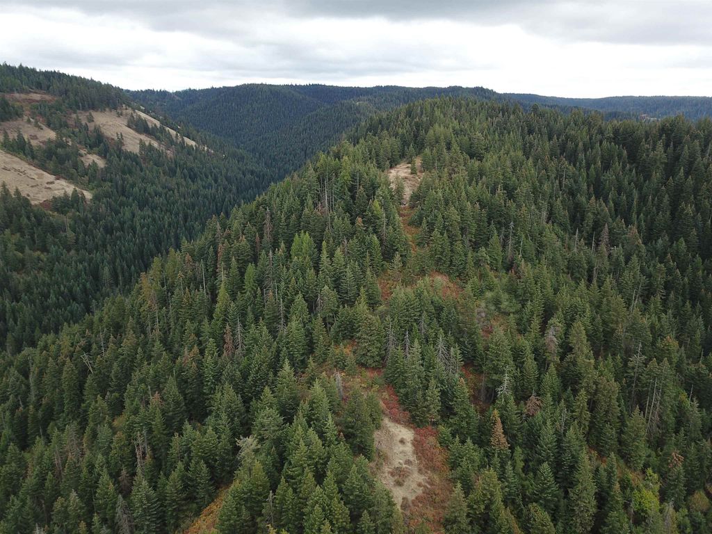 30 Acres on Biscuit Ridge Rdg, Other, WA 99361 photo 30