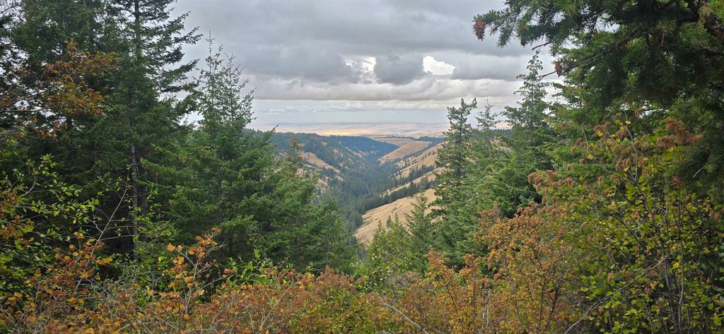 30 Acres on Biscuit Ridge Rdg, Other, WA 99361 photo 4