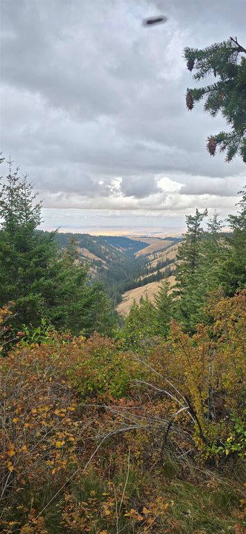 30 Acres on Biscuit Ridge Rdg, Other, WA 99361 photo 31