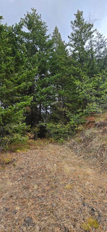30 Acres on Biscuit Ridge Rdg, Other, WA 99361 photo 5