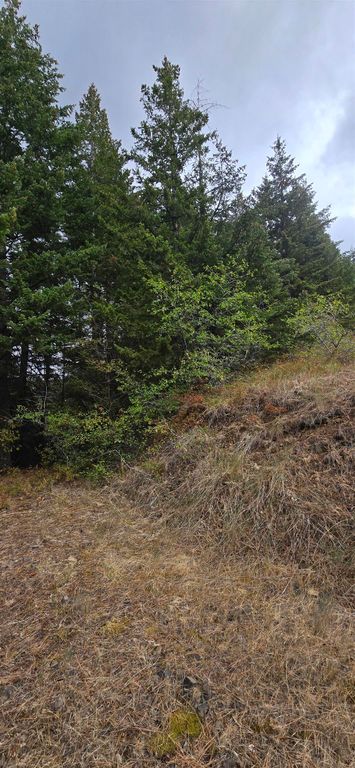 30 Acres on Biscuit Ridge Rdg, Other, WA 99361 photo 6