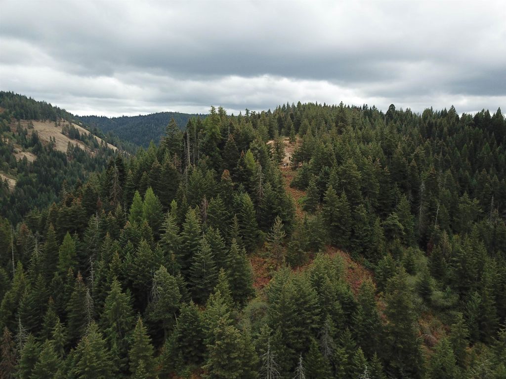 30 Acres on Biscuit Ridge Rdg, Other, WA 99361 photo 8