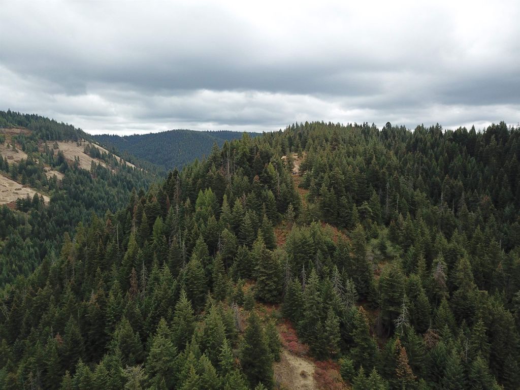 30 Acres on Biscuit Ridge Rdg, Other, WA 99361 photo 9