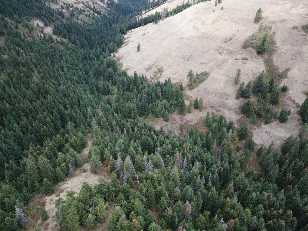 30 Acres on Biscuit Ridge Rdg, Other, WA 99361 photo 10