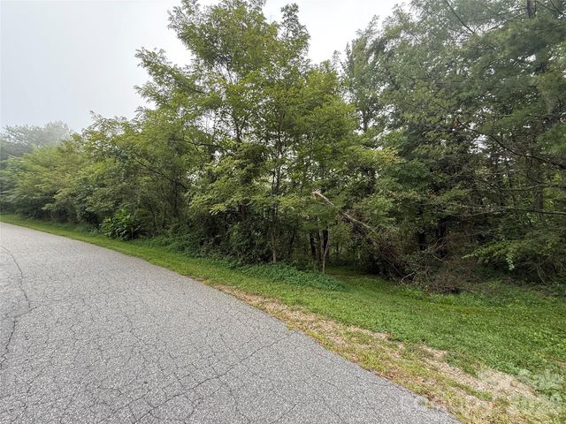 99999 Elk Mountain Ridge 14, Asheville, NC 28804