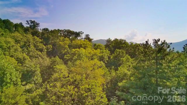 99999 Elk Mountain Ridge 14, Asheville, NC 28804