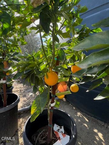 2245 California Avenue, Fillmore, CA 93015