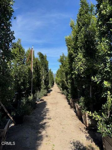 2245 California Avenue, Fillmore, CA 93015