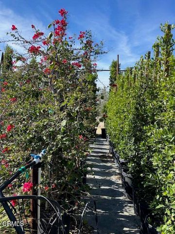 2245 California Avenue, Fillmore, CA 93015