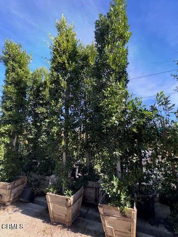 2245 California Avenue, Fillmore, CA 93015