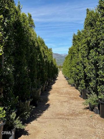 2245 California Avenue, Fillmore, CA 93015